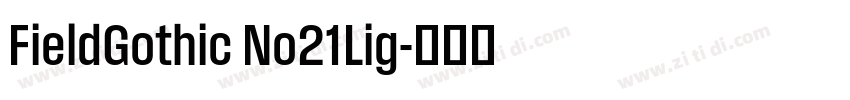FieldGothic No21Lig字体转换